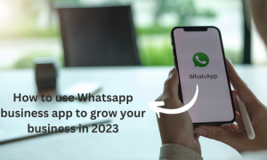 How to use Whatsapp business app to grow your business in 2023: WhatsApp is a personal messaging software with more than two billion users...
